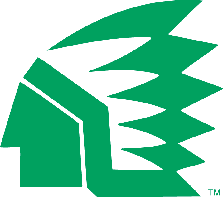North Dakota Fighting Hawks 1976-1999 Primary Logo iron on transfers for clothing